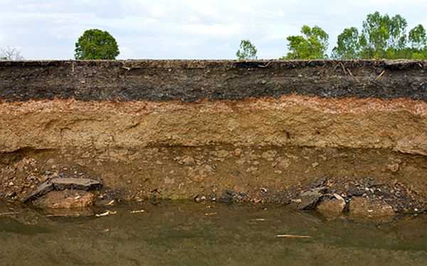 It is necessary to determine what kind of soil in each layer