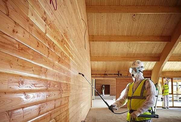 You will most likely have to use antiseptics, you can take them with a coloring pigment, at the same time emphasize the beauty of the wood pattern