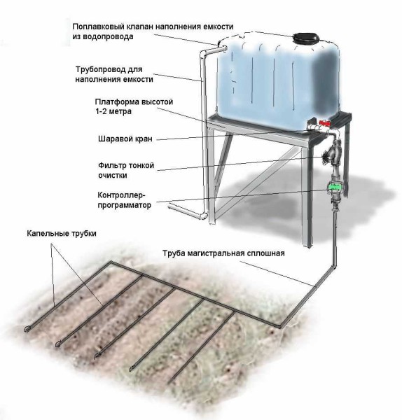 How to make a water supply in the country for watering from a barrel