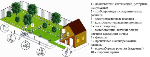 The sprinkler irrigation system is suitable for watering a lawn or small plantings - up to 10-15 cm