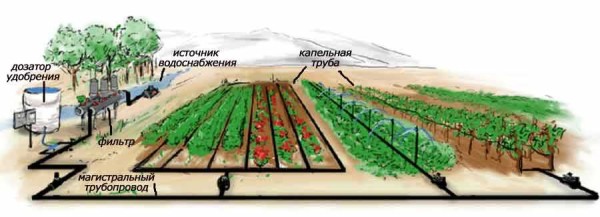 Do-it-yourself automatic watering of the garden can be assembled from components or buy ready-made watering kits
