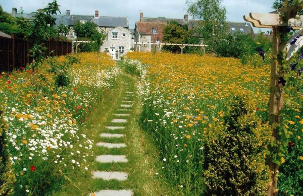 The meadow lawn is highly decorative