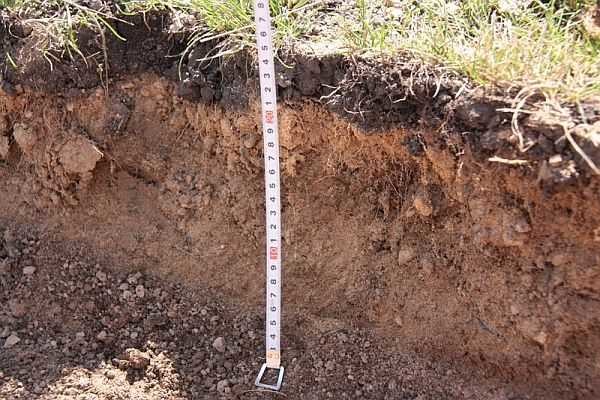 The soil is removed to a depth of 20-25 cm, and then covered with earth