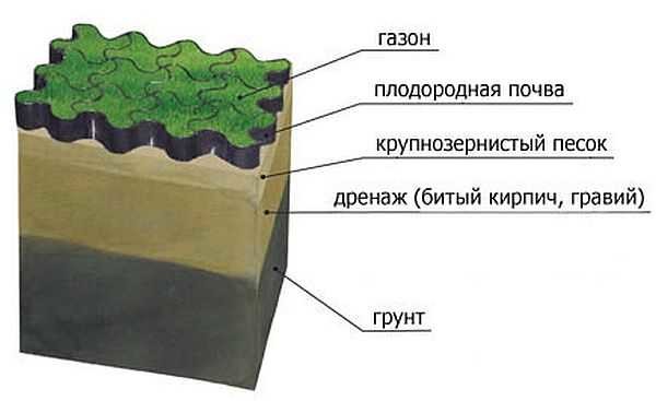 On swampy soils, in order to grow a beautiful lawn, it is necessary to create normal conditions for water drainage