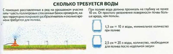 How to check how much water your herb is getting