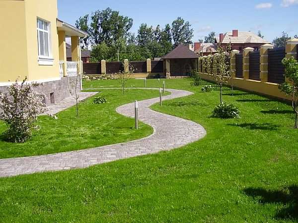 DIY green lawn can be done in five to seven weeks