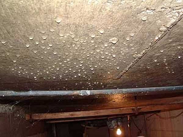 Eliminating condensation in the cellar is more difficult than preventing it from appearing