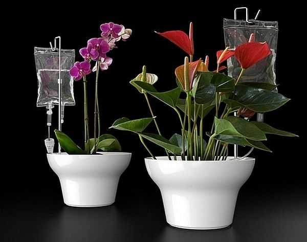 Constantly moisturizing your flowers on the balcony? Easy!