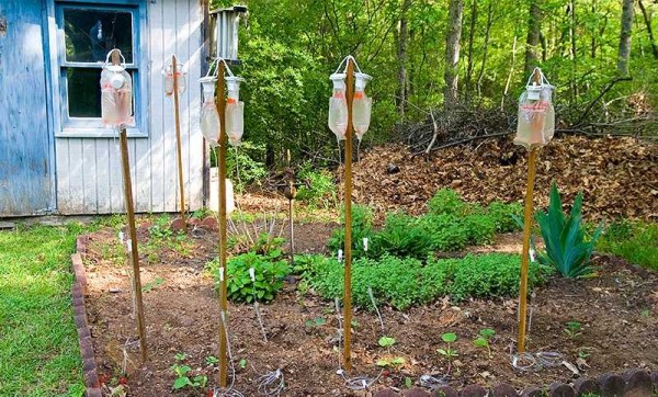Waste to income - watering for young plants is provided
