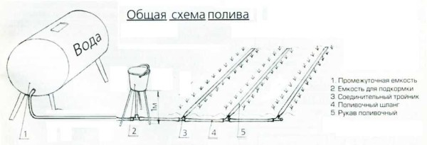 Gravity-flow drip irrigation scheme