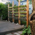Very little space, and when the plants grow, it will look gorgeous