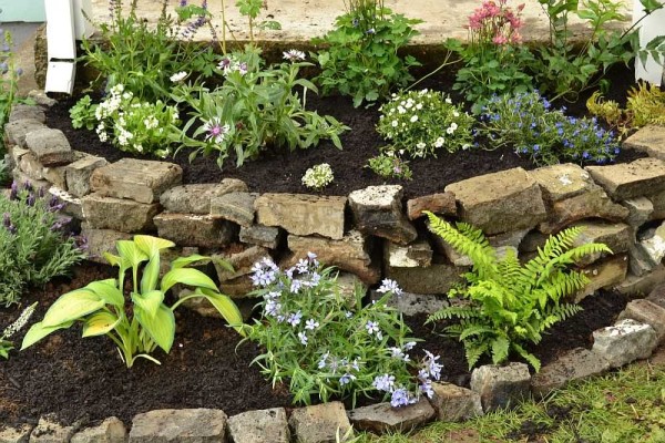 A two-tier flower bed near the wall of the house. Water from the drain during heavy rain can erode the soil, so it is worth taking it further or to the side
