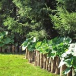 Log halves can also be folded into a fence for a raised flower garden