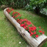 Even an old log can be turned into a flower garden