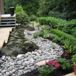 The beauty of plants is enhanced by a strip of pebbles