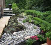 The beauty of plants is enhanced by a strip of pebbles