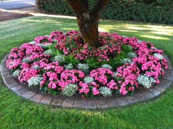 This is a flower bed. It has a clear, strictly defined shape and geometrically correct plants