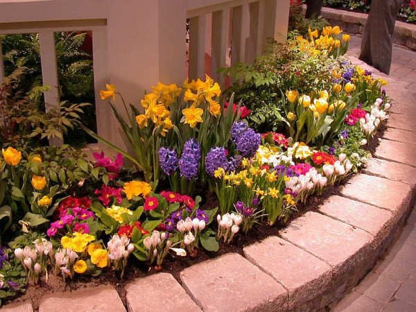Spring flower bed - all colors at one time. It is raised - the flowers are planted slightly higher than the soil in the rest of the plot