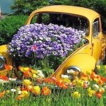 An old car doesn't need a place in a junkyard ...