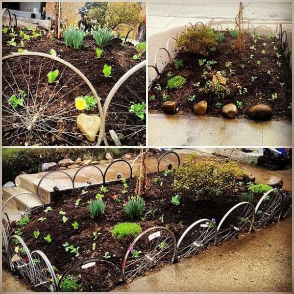 Old bicycle wheels can decorate your summer cottage. How? Make a flower garden fence out of them