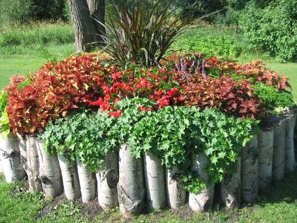 It's not really a tree, of course, but the idea is clear. These garden flower beds are good for shade-loving plants.
