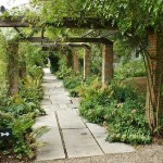 Powerful columns wrapped around lianas - protected garden