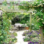 Blooming honeysuckle on a pergola arch