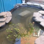 From this side, just below the maximum level, a pipe was cut into the bowl so that excess water would drain off. She was taken down the drain