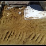 A little sand was poured on top, and stone laying began