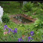 It's such beauty in a month - a garden prue, built with my own hands, makes me happy
