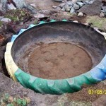 The trimmed tire is installed in a dug hole, a little earth is poured inside, leveling the bottom