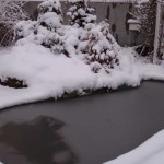 And this is a winter pond. In our places it is covered with ice only in the very frosts, and does not freeze to the bottom. Fish hibernate there