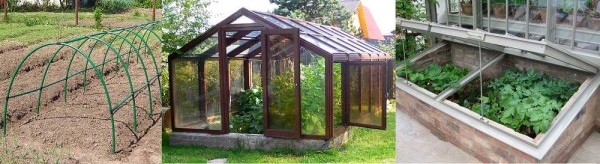 Constructions of greenhouses and greenhouses