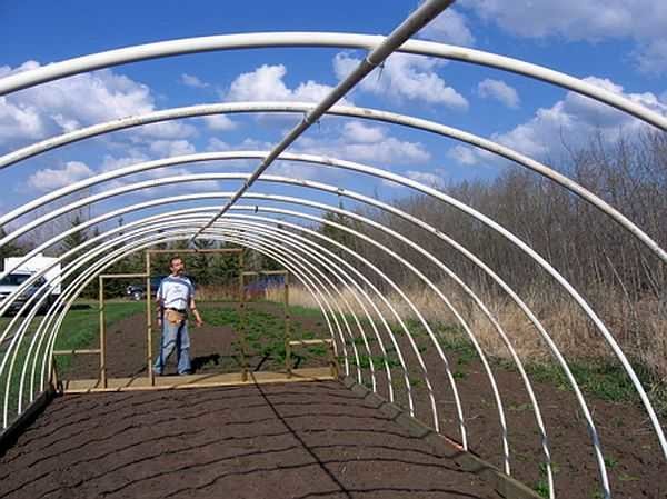 And this is what has already happened: the greenhouse is almost ready