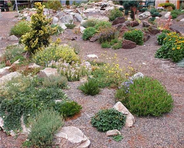 An example of planting trees and bushes
