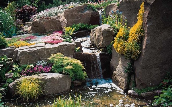 Stones, flowers, water - beauty ...