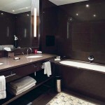 Nice bathroom design, but dark ...