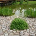 Nice corners can be paved from large natural stone