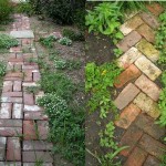 Quite nice paths made of old brick. And if the filling is done on the sides and in the seams, there will be beauty in general