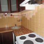 The wall in the kitchen work area is finished with long tiles