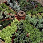 You can even make beautiful do-it-yourself beds from an old wheel. A collection of aromatic herbs has been planted here - this is a fragrant garden, and you can also make a similar spicy one - with spicy plants
