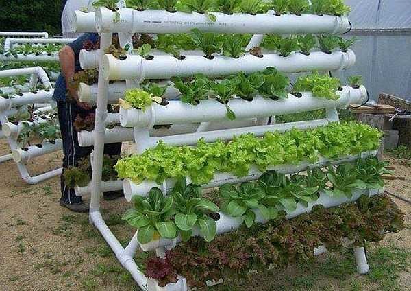 A bed for greenery from plastic pipes