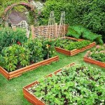 A fence made of boards is quick and easy, only you need to saturate the boards with a bio-protective compound, otherwise they will turn black and be unattractive