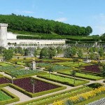 Intermittent colors are the basis of the decorative effect of the French garden