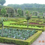 Clearly shaped beds, their borders are marked by curb plantations