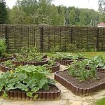Decorative beds are fenced with a plastic fence for flower beds