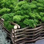 Cut flexible branches (willows, for example) in the forest and while they are fresh, weave a fence for a raised bed