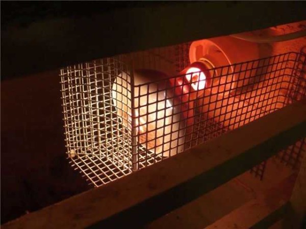 IR heater lamp in mesh casing