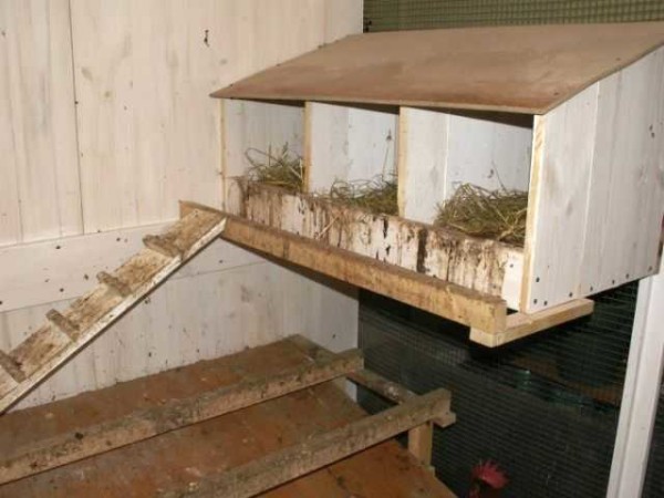 You can make such civic nests