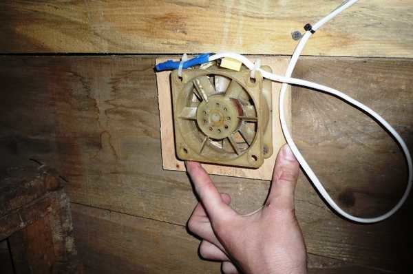 Fan in the chicken coop